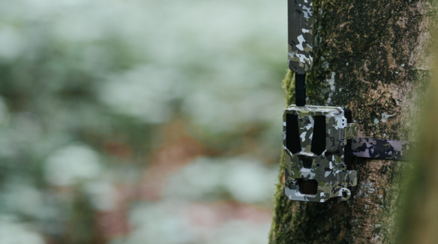 Kostenefficiënte wildcamera-oplossing