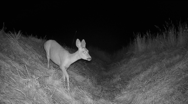 Intelligente verlichting